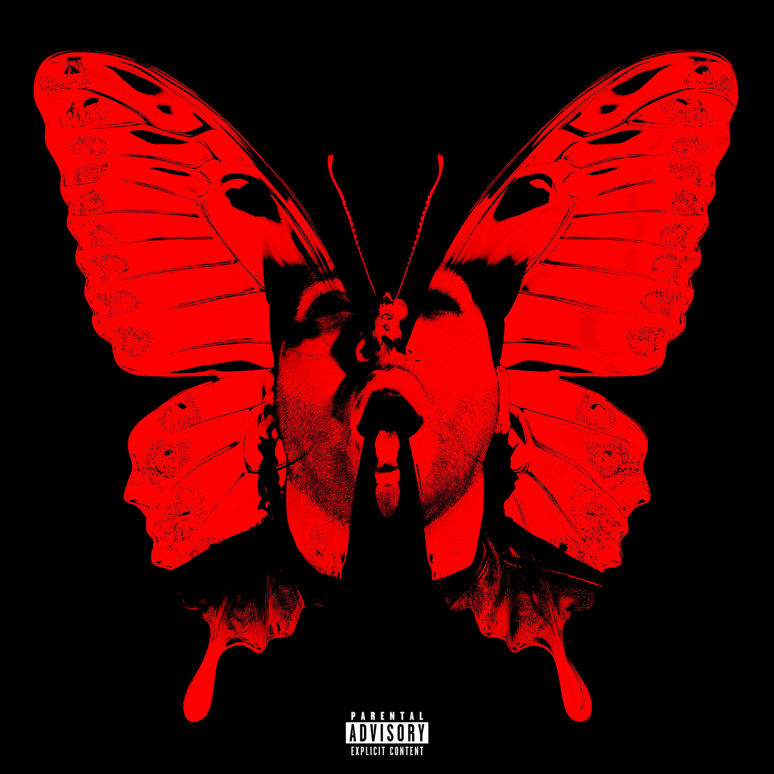Butterfly Feeling by Nikkiy Freece Is the Psychedelic Trap Dream You Didn’t Know You Needed